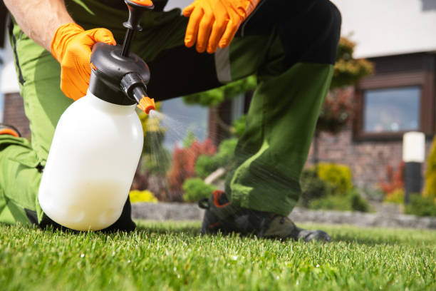 Best Exterminator Services  in Brilliant, AL