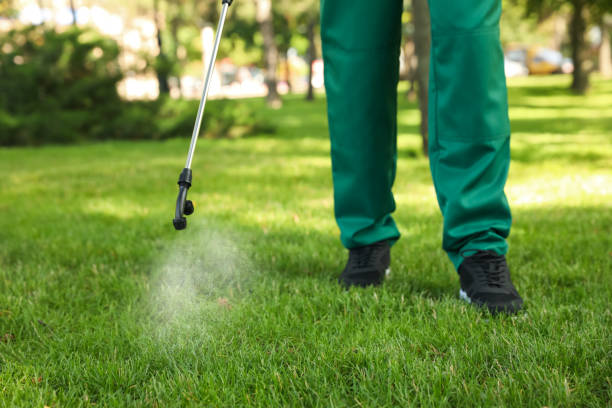 Best Flea Control Services  in Brilliant, AL