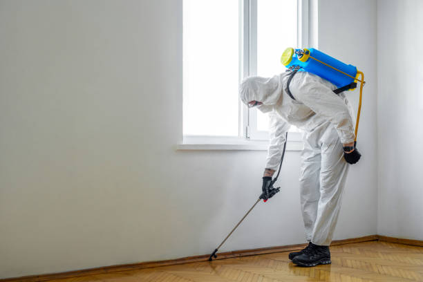 Best Affordable Pest Control Services  in Brilliant, AL