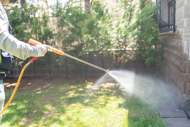 Best Ant Control Services  in Brilliant, AL