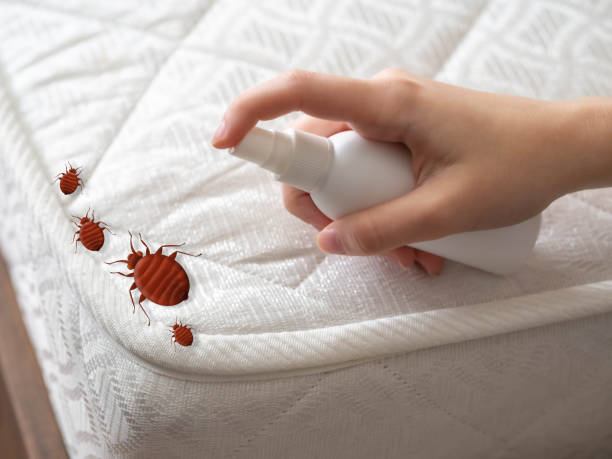 Best Commercial Pest Control Services  in Brilliant, AL